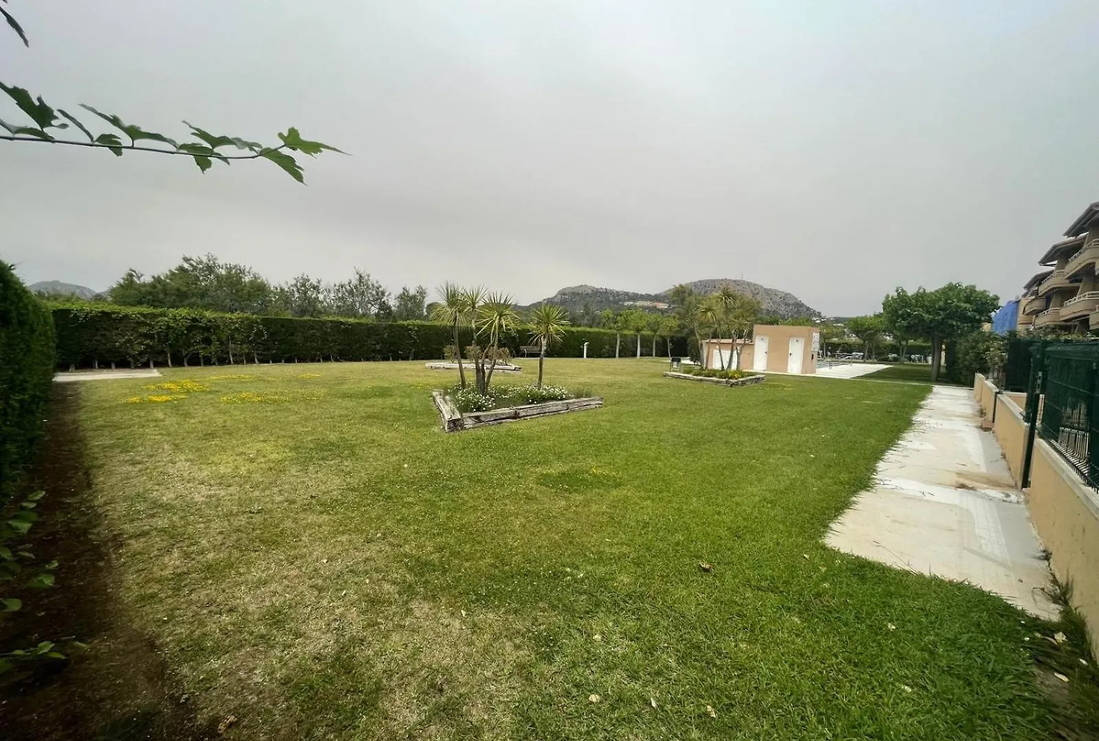 Apartament Dalia Apartment L'Estartit Spain